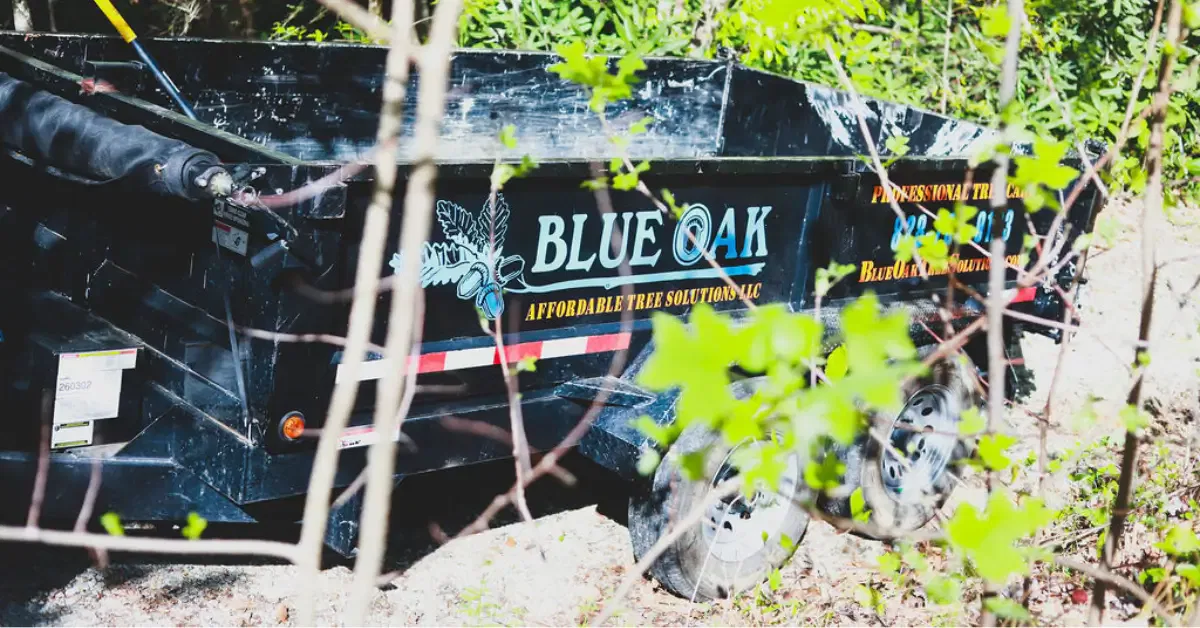 How to Choose the Right Tree Service Company for Your Tree Job in Western North Carolina