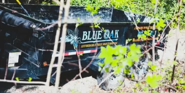 How to Choose the Right Tree Service Company for Your Tree Job in Western North Carolina