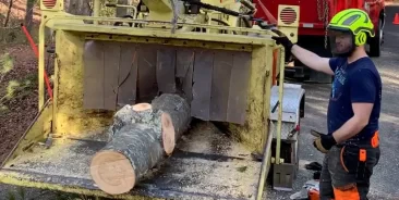 22 Years of Tree Service Experience: