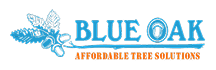 Blue Oak Logo