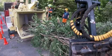 24/7 Emergency Tree Service