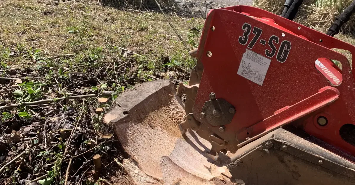 Stump Grinding & Removal in Western North Carolina