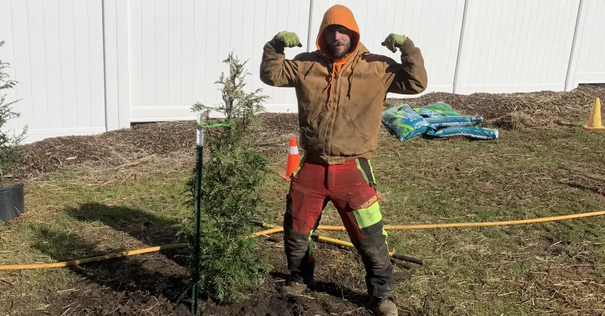 Tree Planting in Western North Carolina