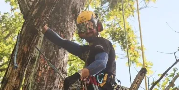 Passion for Tree Health: