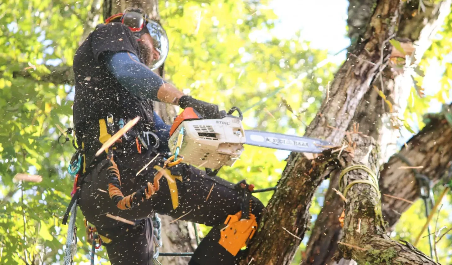 Topping: An Unethical Practice