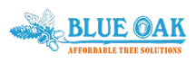 Blue Oak Logo