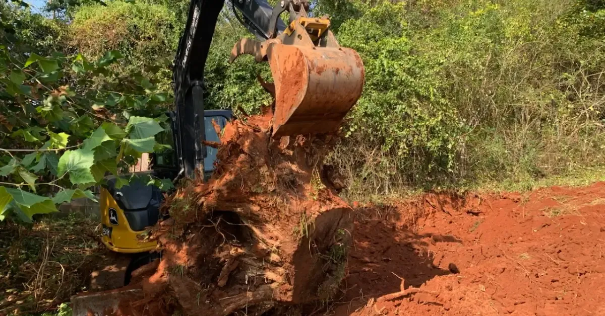 Stump Grinding & Removal in Western North Carolina