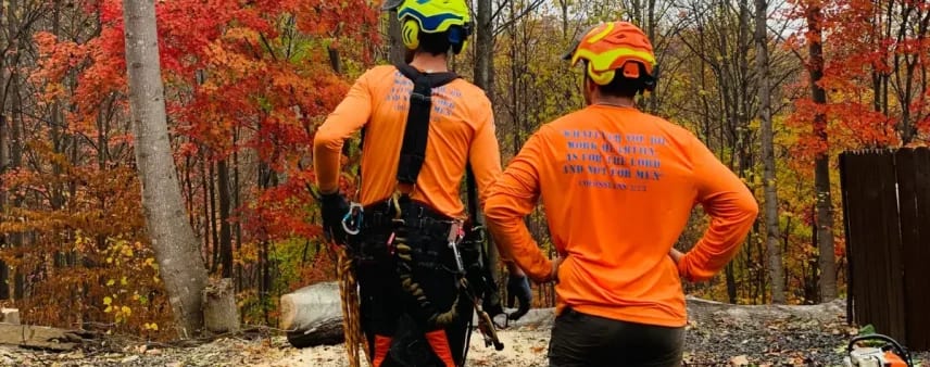 Two arborists in orange safety gear and hard hats standing in a gravel clearing within an autumn forest, assessing site conditions and tree risk
