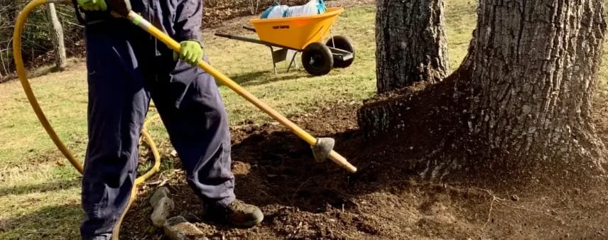 Arborist in high-visibility gear using a tool to excavate soil from around a tree's root collar beside a yellow wheelbarrow, demonstrating root-zone excavation like Airspade pneumatic services