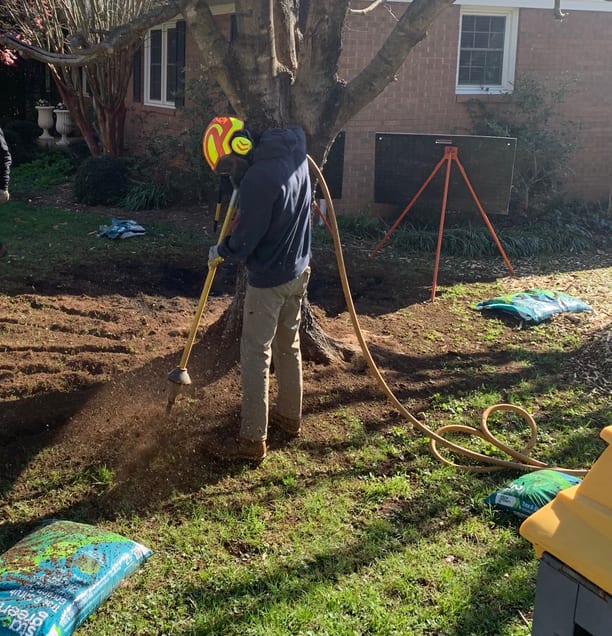 This is an image of a man performing aeration to the critical root zone of a tree. The critical root zone is essential for tree health.